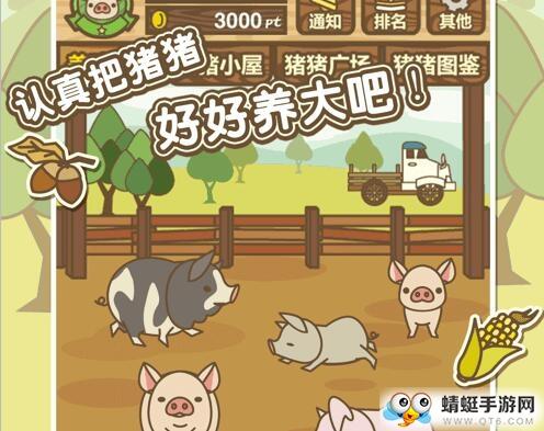 阳光养猪场红包版 1.4.4