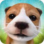 DogSimulator（模拟狗狗） 2.2.3手机版