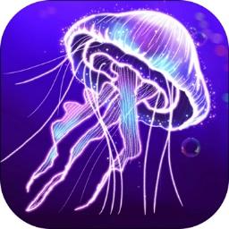 召唤海王 0.1安卓版