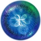 星噬手机版 2.5.0最新版