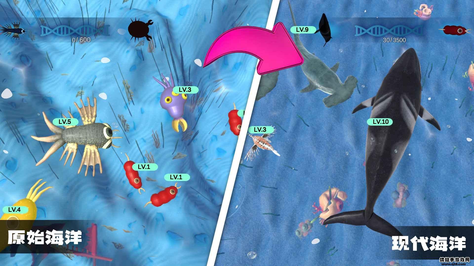 物种进化模拟器 1.0安卓版