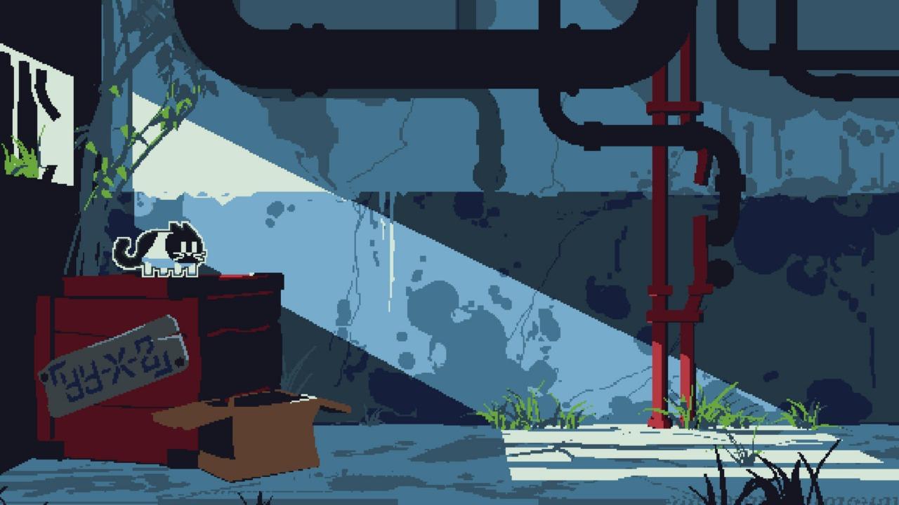 Cato手机版 0.6.5最新版