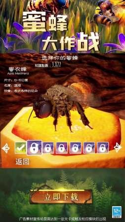 蜜蜂大作战安卓版 5.0.24最新版