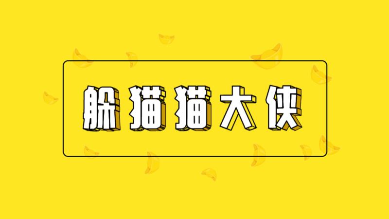 躲猫猫大侠游戏 0.1安卓版
