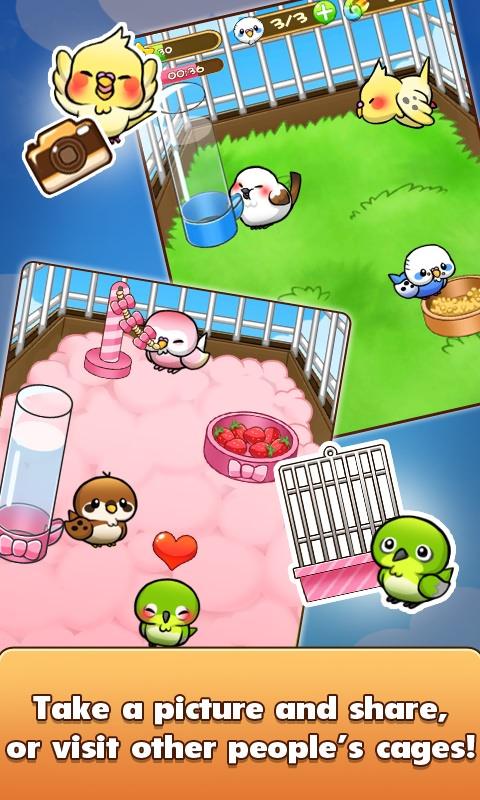 Bird Life(小鸟生活破解版) 1.6.16安卓版