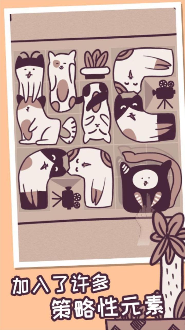 井然有猫手游 1.04安卓版