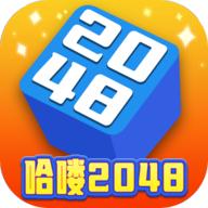 哈喽2048 1020.888.888安卓版