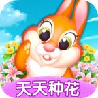 天天种花小游戏 1.1.0安卓版