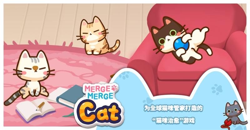 猫咪管家破解版 2.2.10无广告版