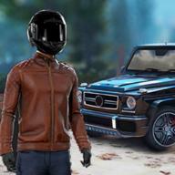 Driver Life（驾驶员生活游戏） 0.3安卓版
