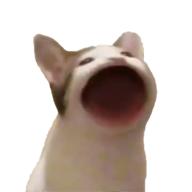 popcart(pop猫安卓版) 0.9手机版