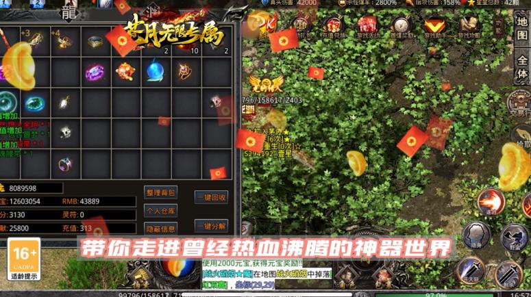 苍月无限专属 1.1.0安卓版
