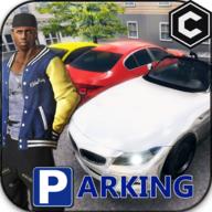 Real Parking - OpenWord Parking Game(真实停车王无限金币版) 3.2安卓版