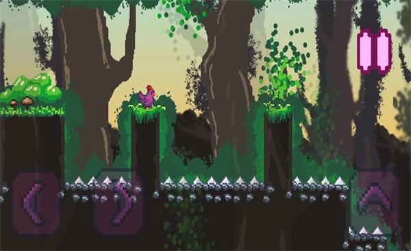 紫鸡全部关卡解锁版 1.0安卓版