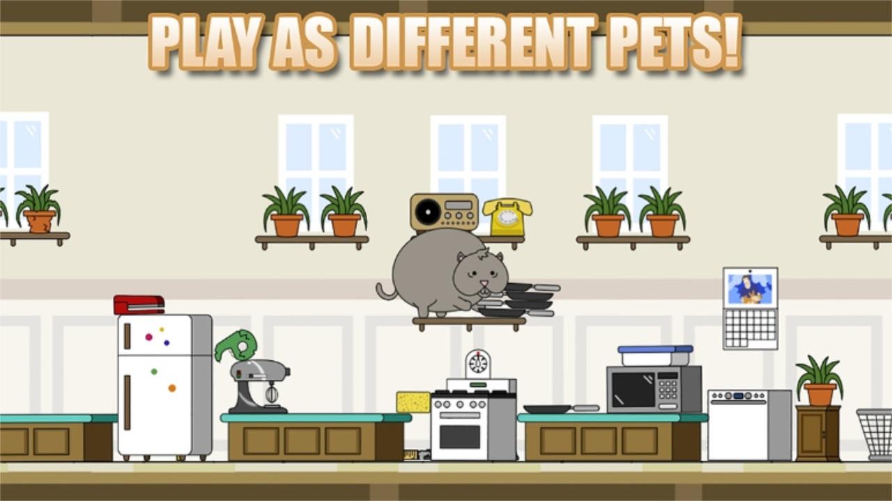 小笨猫最新版 1.4.4安卓版