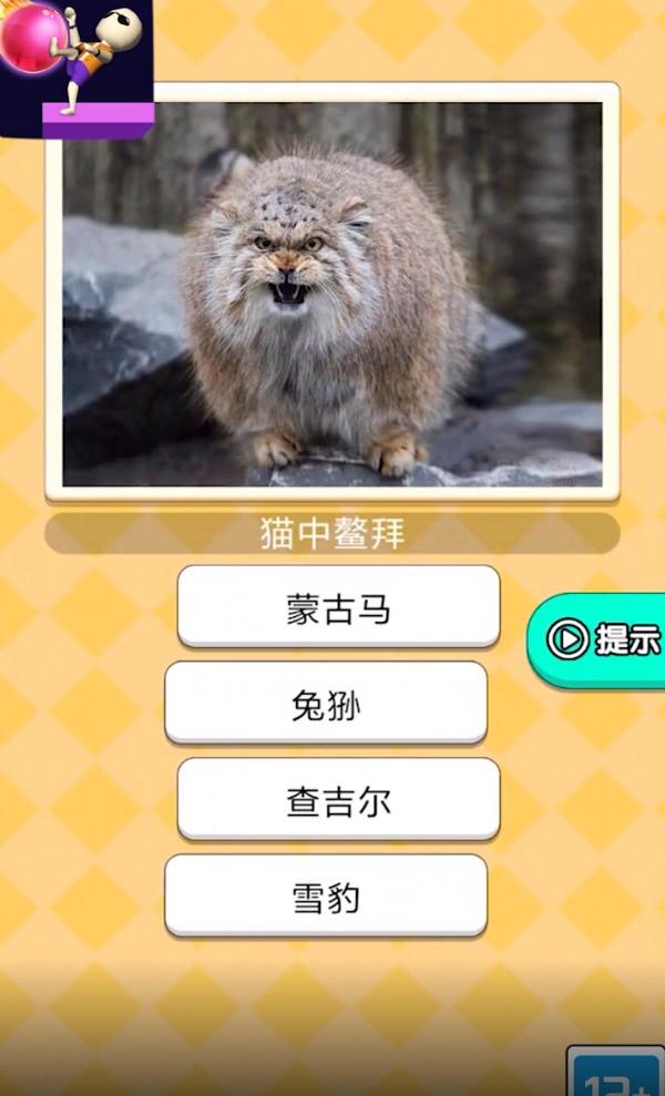 魔音球球红包版 1.0安卓版