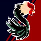 Sabong(斗鸡手游) 1.1安卓版