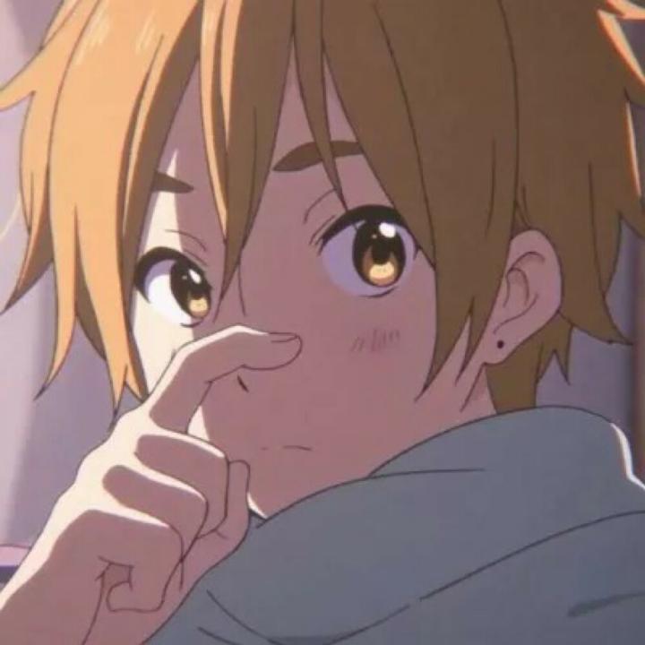 口袋妖怪之暗影归来 1.0安卓版