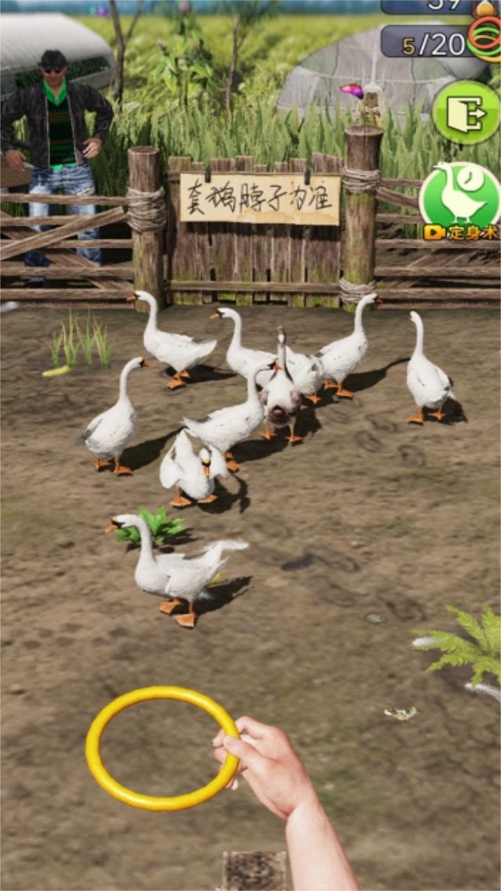 天天套圈小游戏 1.0安卓版