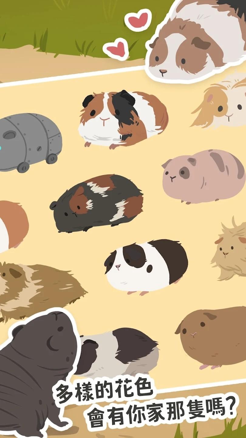 天竺鼠农场国际服最新版 0.1.2安卓版