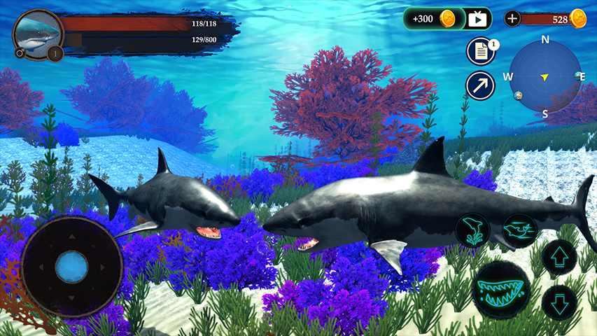 The Shark(鲨鱼模拟无限金币破解版) 1.0.1安卓版