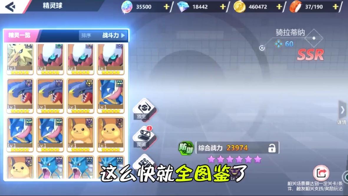 宠物新世代游戏 1.0.0安卓版