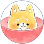 Kamio家的玩具店(カミオさんちのおもちゃ部屋) 1.6最新版