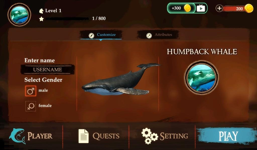 The Humpback Whales(座头鲸手游) 1.0.2安卓版