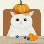 收纳小物语最新版 1.0.0安卓版