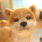 withMyDOG(和我的狗在一起（免广告获得奖励）) 1.0.2去广告版