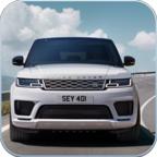 2020年城市汽车驾驶挑战者（City Car Driving 2020: Challenger） 1.13安卓版