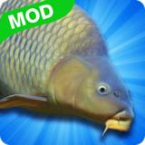 模拟钓鲤鱼无限金币 2.2.3手机版