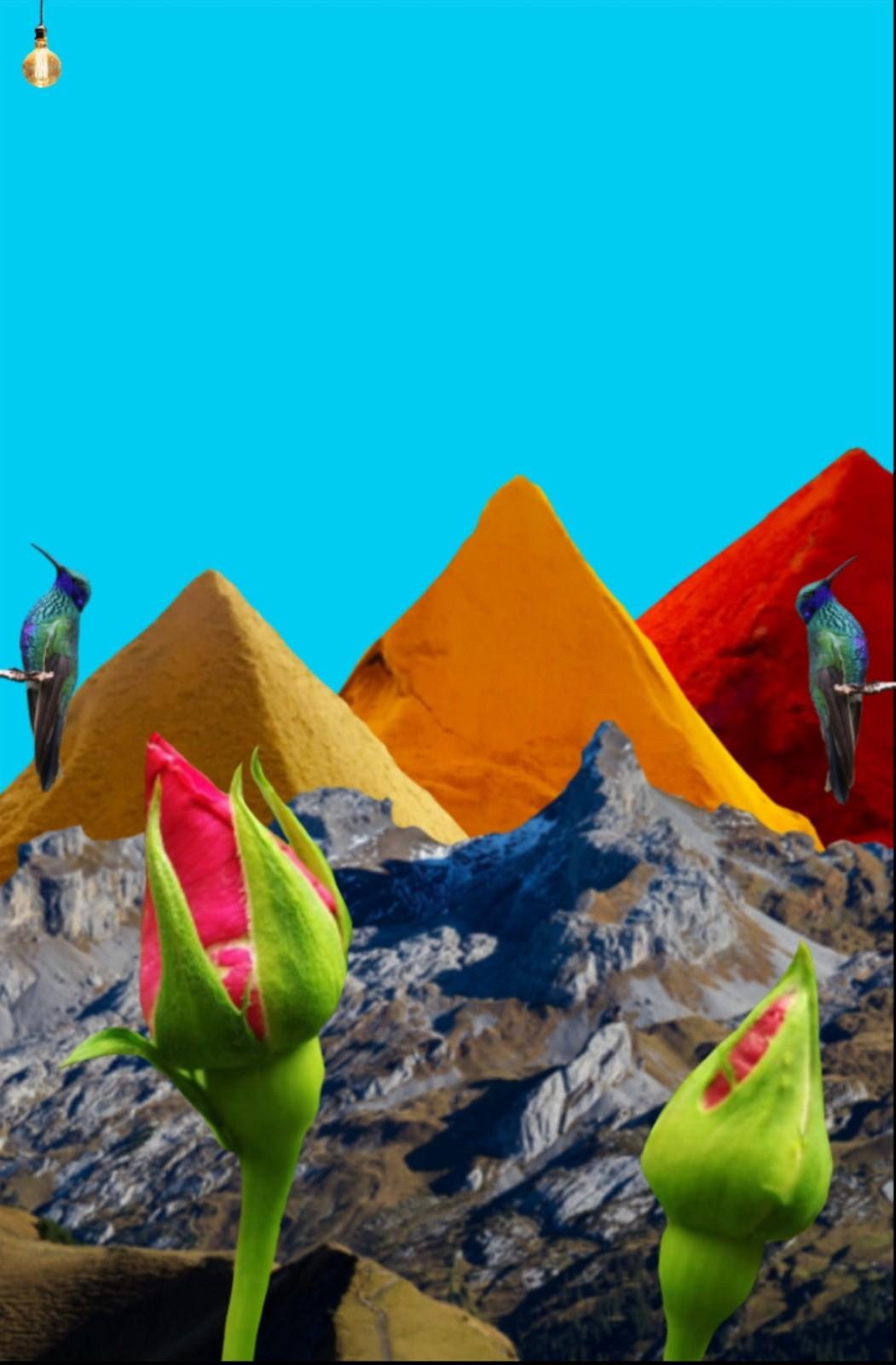 无梦房间破解版 1.0.1免广告版