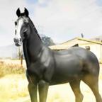 Powerful Enemy Horse(强大的敌马手游) 1.0安卓版