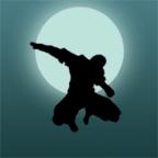 Rocket Ninja(火箭忍者去广告破解版) 2.1无广告版