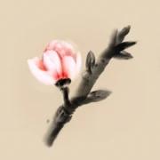 冬蜃楼中文版 1.0.3完整版