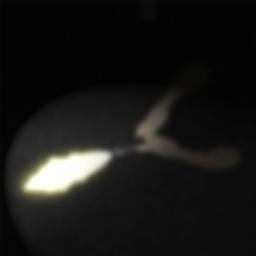 细菌边缘破解版无限子弹版 1.01.21安卓版