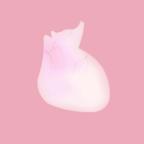 生命life最新版 1.0汉化版