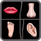 疯狂模拟器破解版 1.1.4最新版