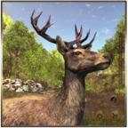 Animal Hunter : Jungle Sniper Shooting(动物丛林狙击手无限金币版) 1.10安卓版
