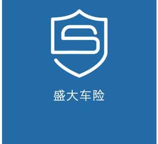 盛大车险