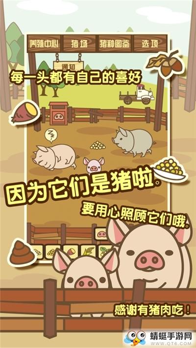 富豪养猪场破解版 1.0破解版