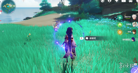 原神4.1霓裳花在哪里采集 4.1胡桃突破材料采集路线_