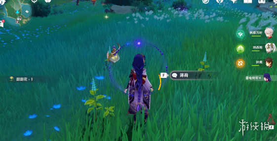 原神4.1霓裳花在哪里采集 4.1胡桃突破材料采集路线_