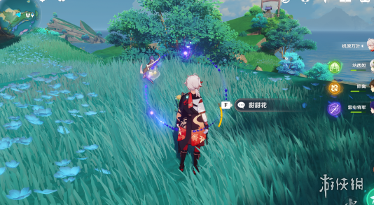 原神4.1霓裳花在哪里采集 4.1胡桃突破材料采集路线_