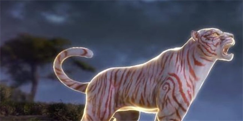 《斗罗大陆史莱克学院》白虎怎么样-《斗罗大陆史莱克学院》白虎职业强度一览