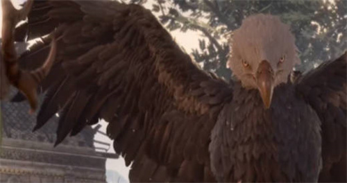 《博德之门3》动物交谈药水怎么获得-《博德之门3》动物交谈药水获得方式