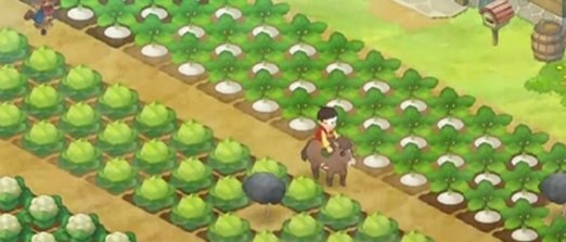 《哆啦a梦牧场物语2》钓鱼怎么钓 钓鱼攻略