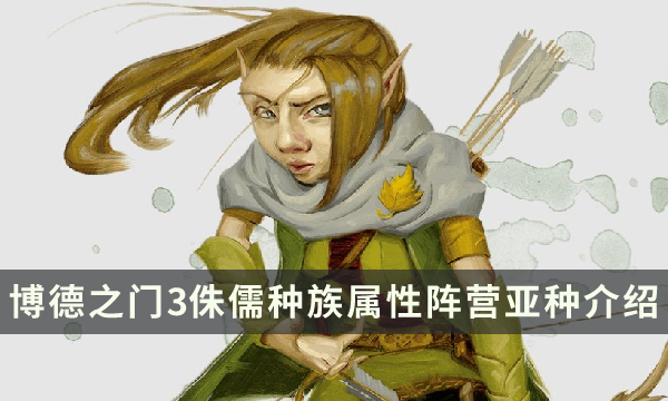 《博德之门3》侏儒种族特性指南 侏儒种族属性阵营亚种详细介绍