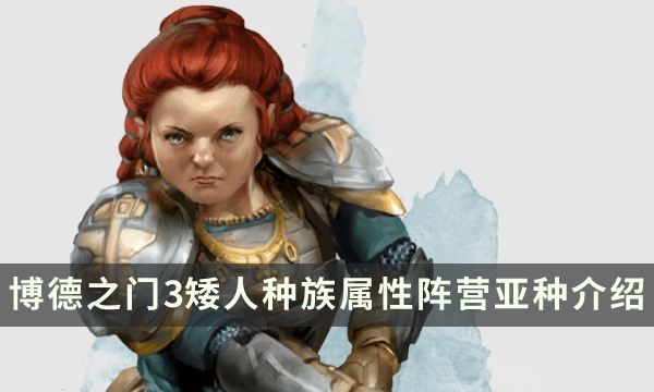《博德之门3》矮人种族特性指南 矮人种族属性阵营亚种详细介绍